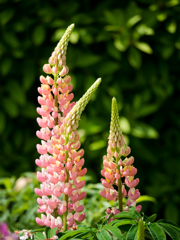 気を付け!!休め!! 気を付け!!休め!!