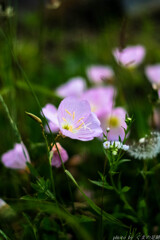 たどり着いた２番底