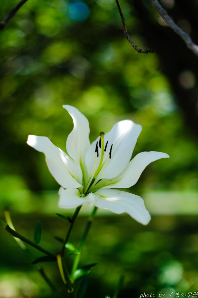 避暑