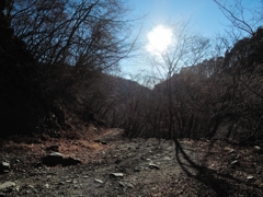 冬の道ゆき 冬の道ゆき