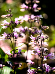 ちょっと楽しい