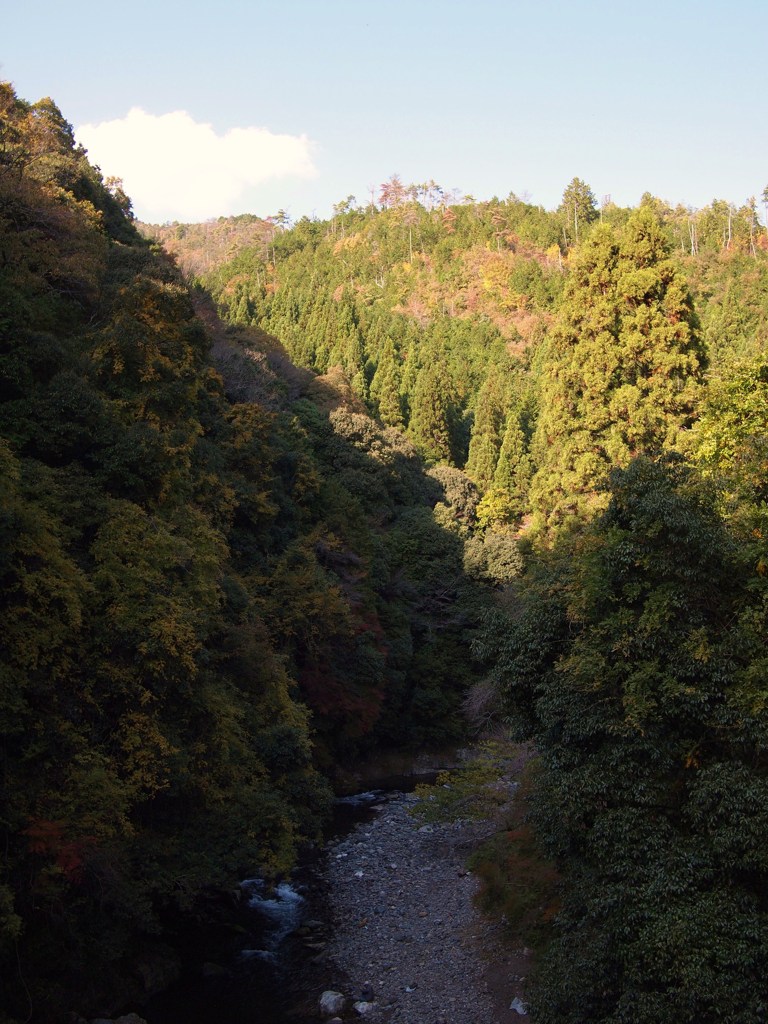 京都補完計画 其ノ弐拾壱