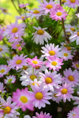 君だけを見つめて