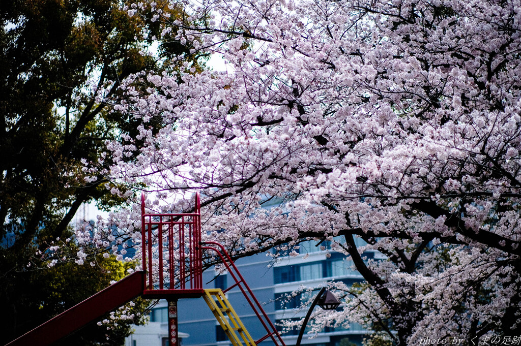 春の傾斜