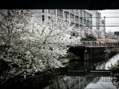 雨の土曜日