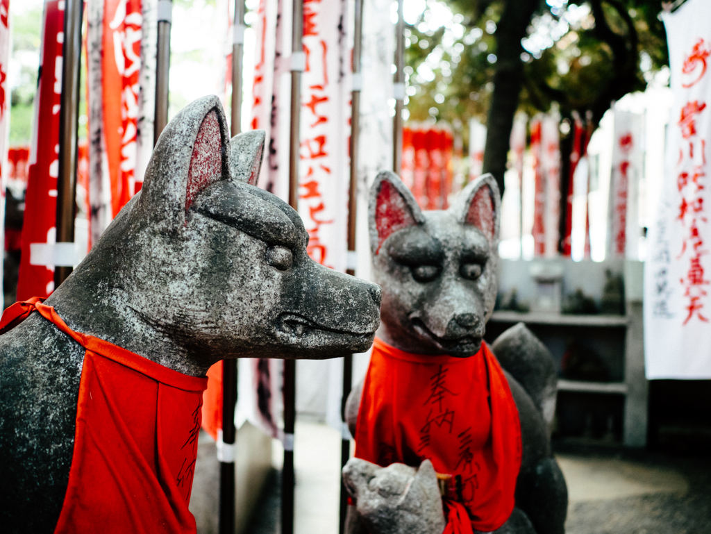 意志あるもの