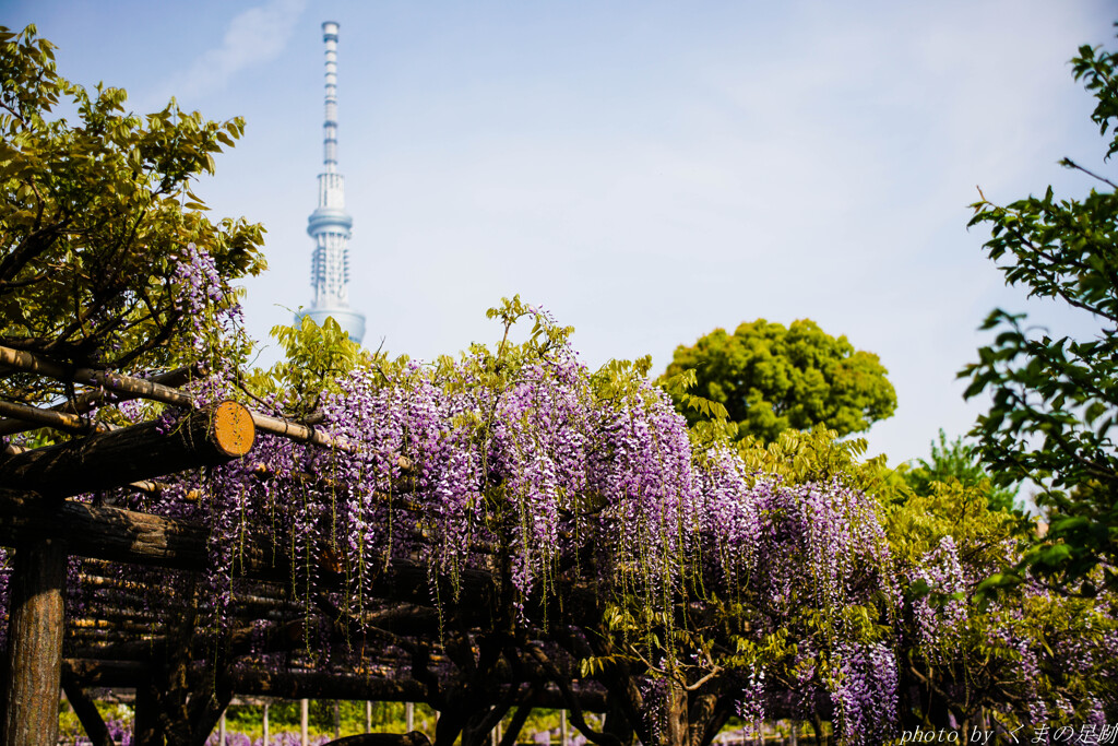昭和の風景