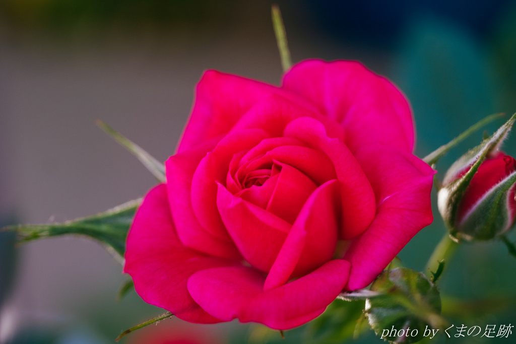 待てど暮らせど