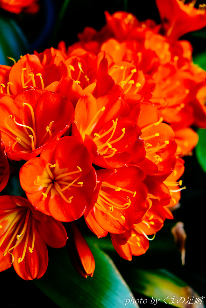 あの悩みはなんだったのか