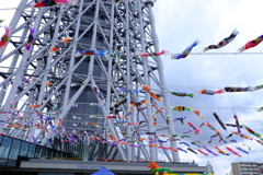 風にふかれて