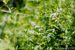 ピンきています