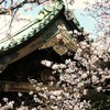 突然の訪れⅡ