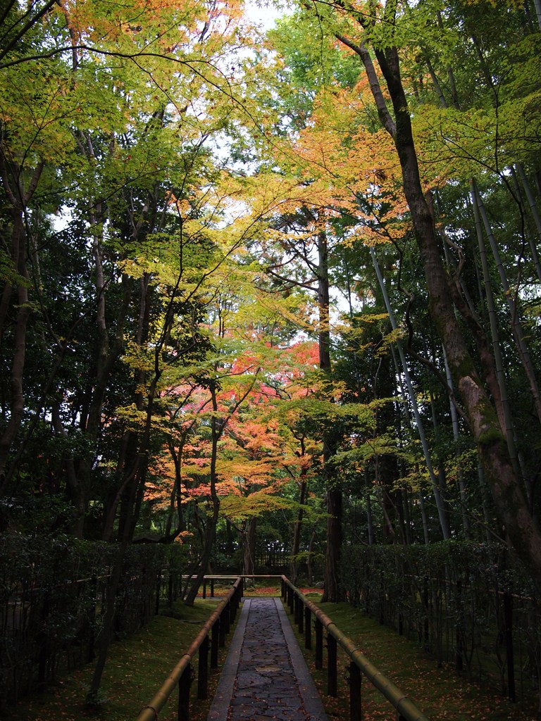 京都補完計画 其ノ佰参拾参