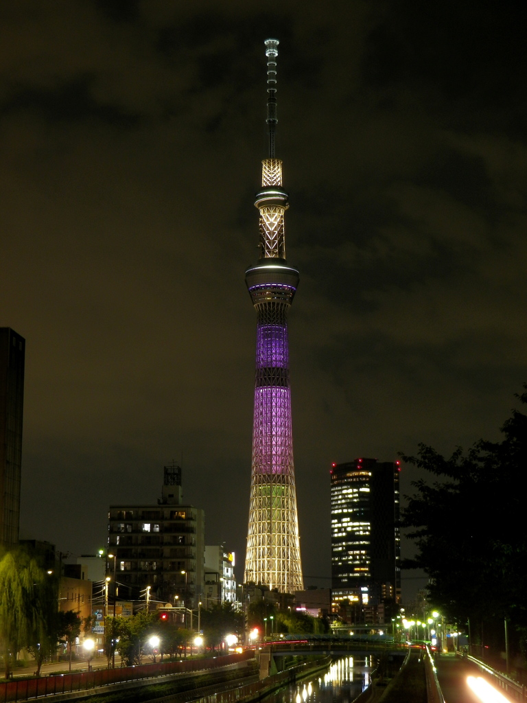 明花 19：53