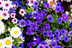 そして季節はめぐる