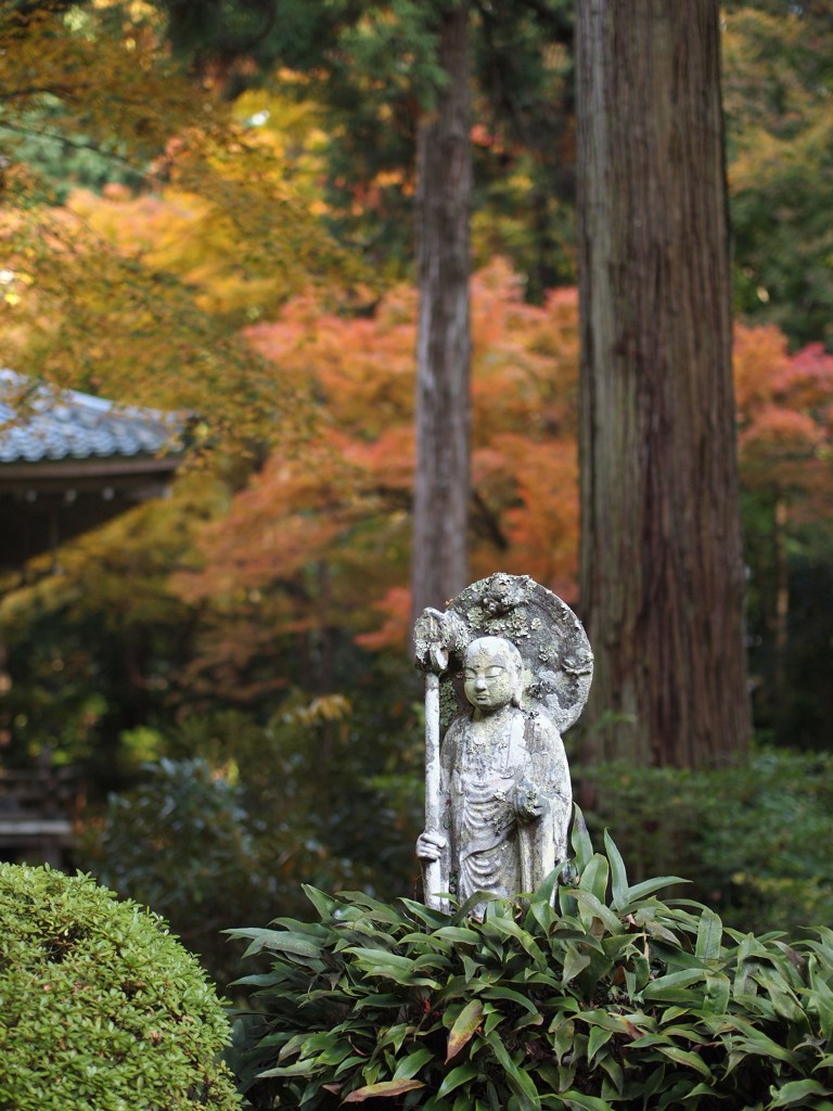 京都補完計画 其ノ参拾参