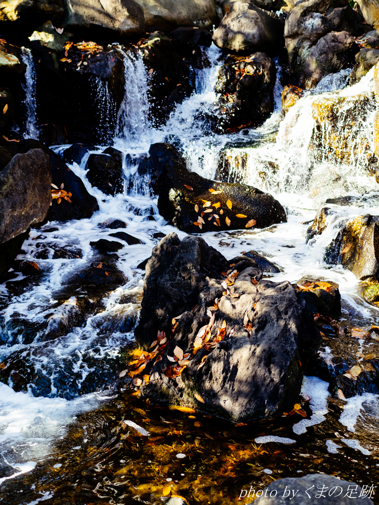 なんちゃって渓谷