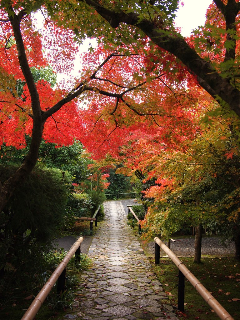 京都補完計画 其ノ佰柒