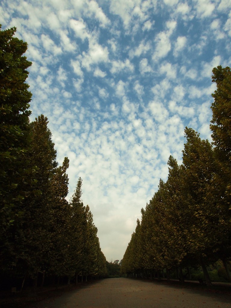 マグリットの空