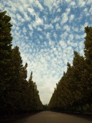 マグリットの空