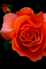 僕にはきっとわからない 僕にはきっとわからない