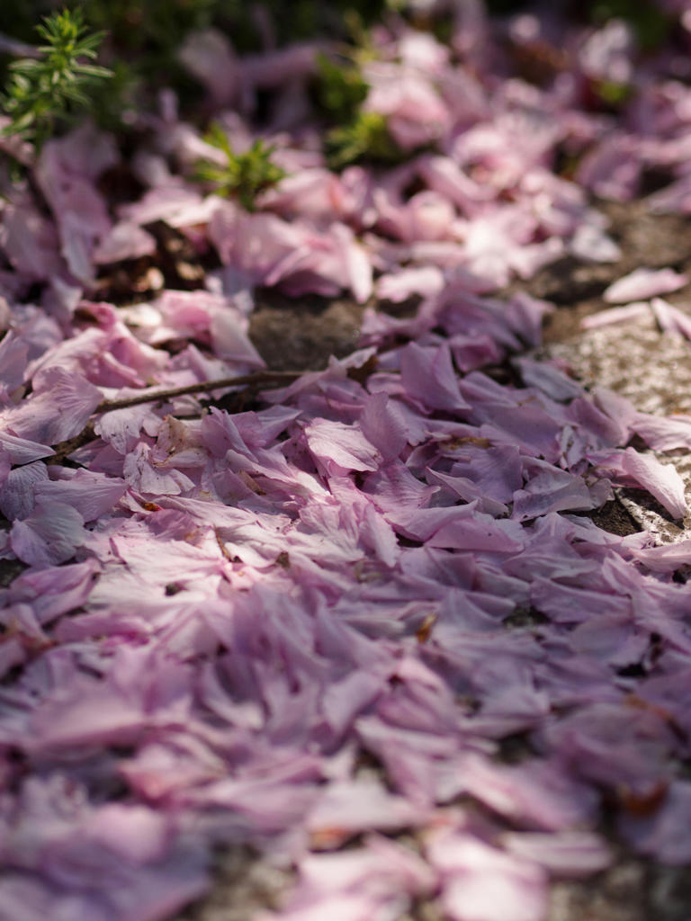 さ・よ・な・ら