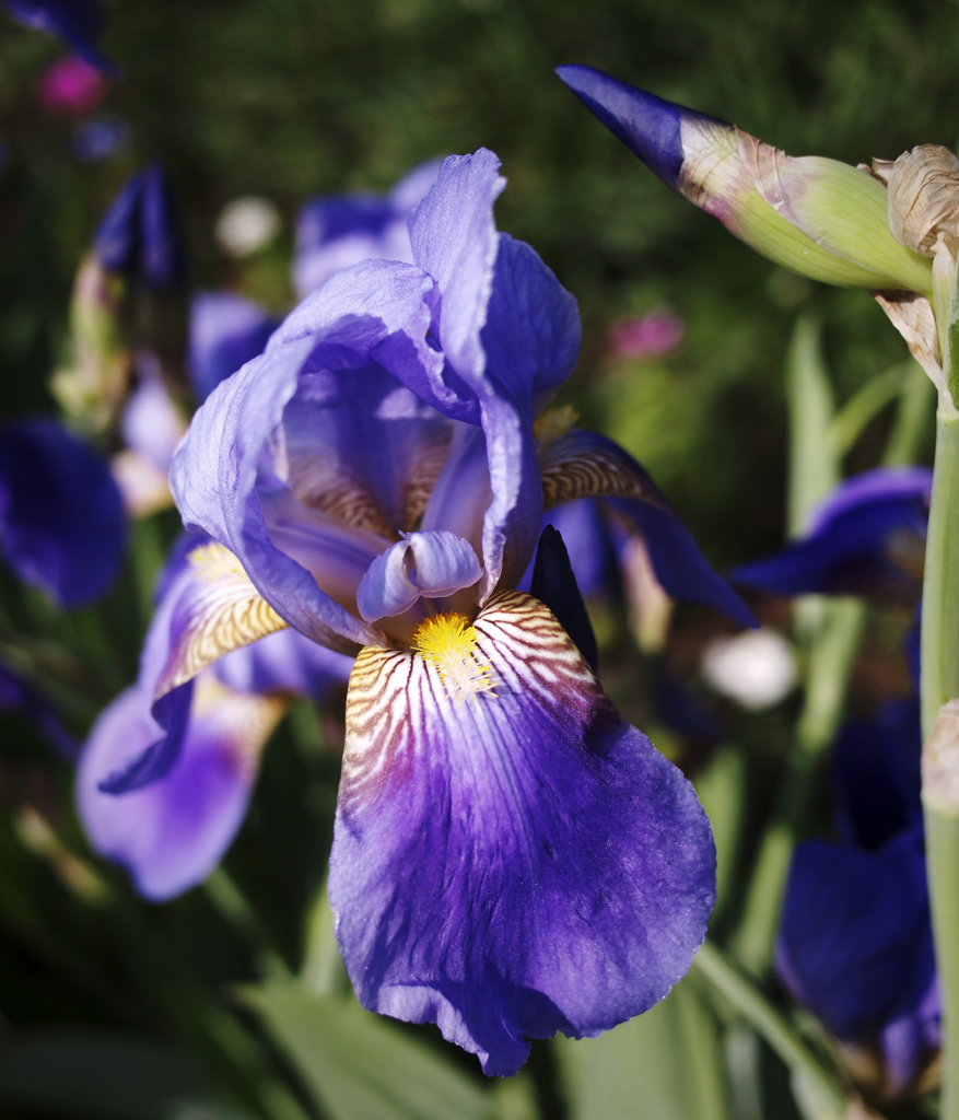 元気に”まる～”