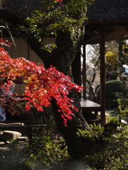 紅・趣き