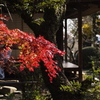 紅・趣き