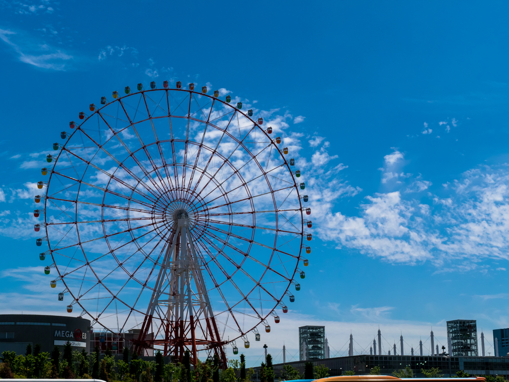 青空に咲く花