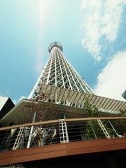 TO THE SUN Ⅱ