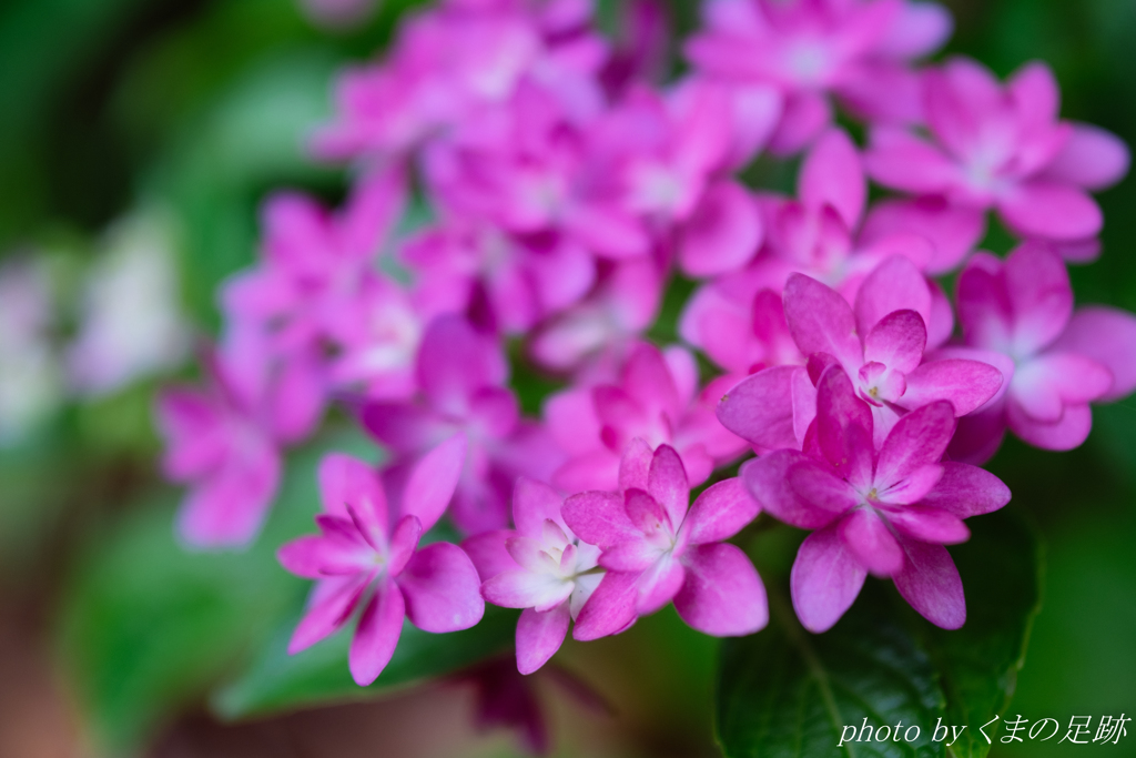 勢いという怖さ