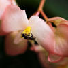 A Taste Of Honey
