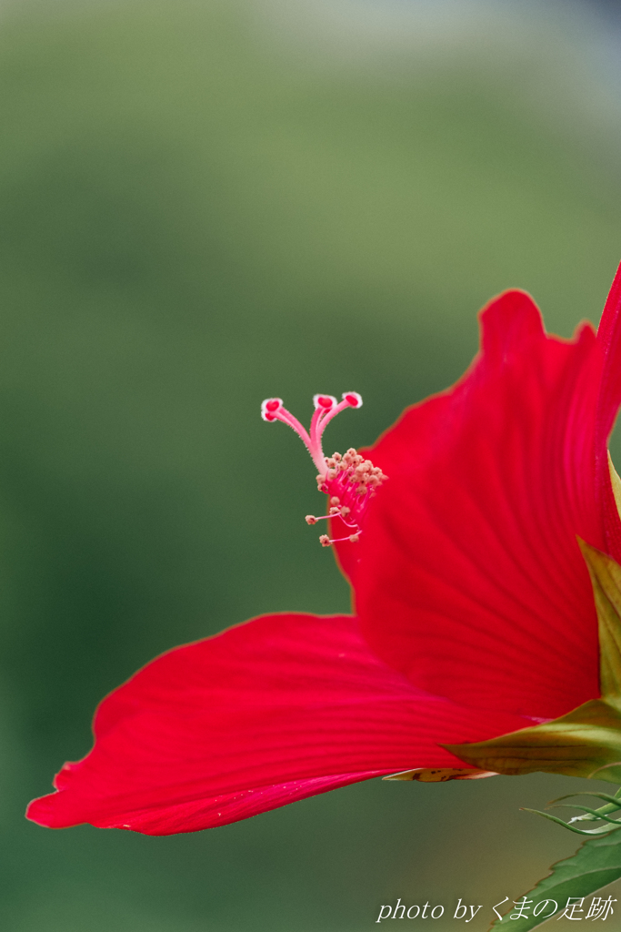 おしゃべりは好きじゃないんだ