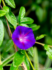 夏の痛みは忘れよう