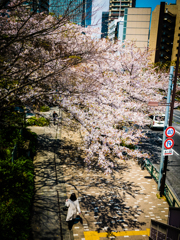 颯爽と