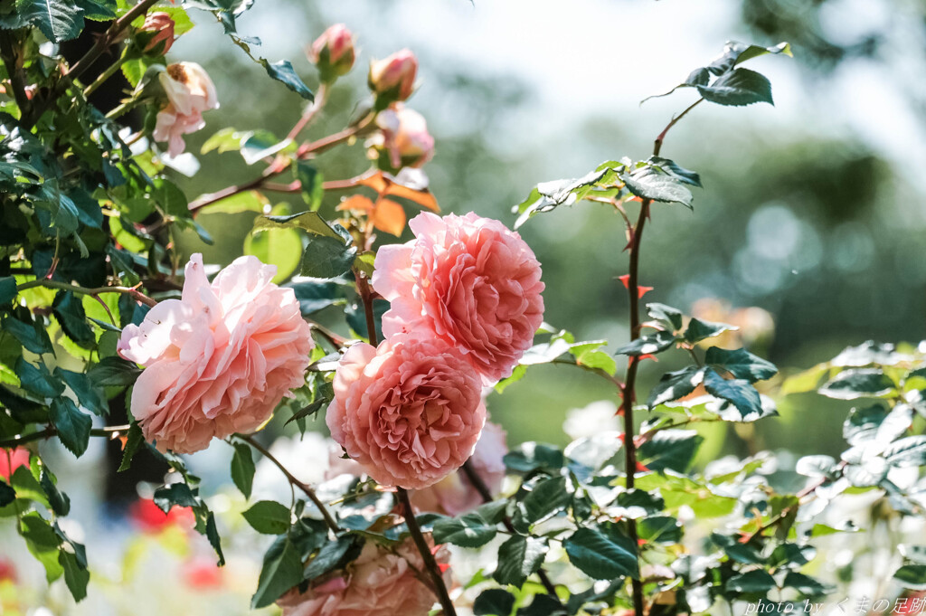 Leave your heart for Golden Week