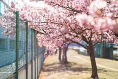 いつかあの場所で