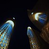 To The Night Sky