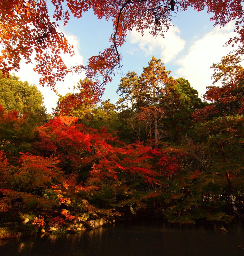 京都補完計画 其ノ佰