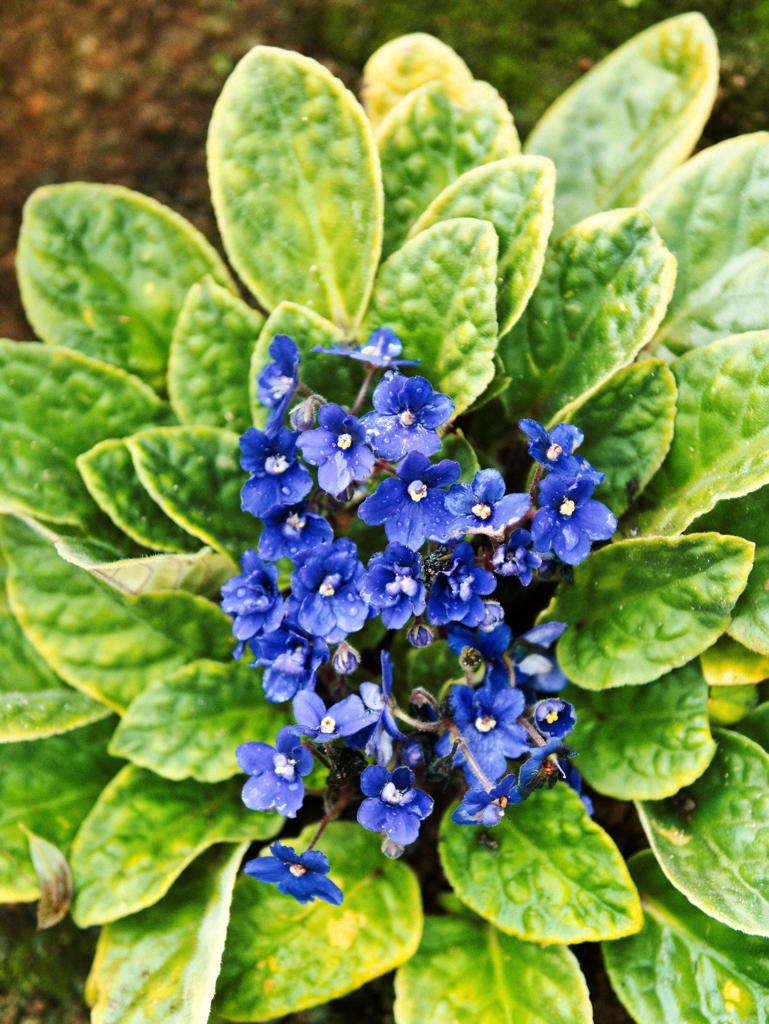 フジカラーで･･･。