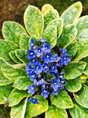 フジカラーで･･･。