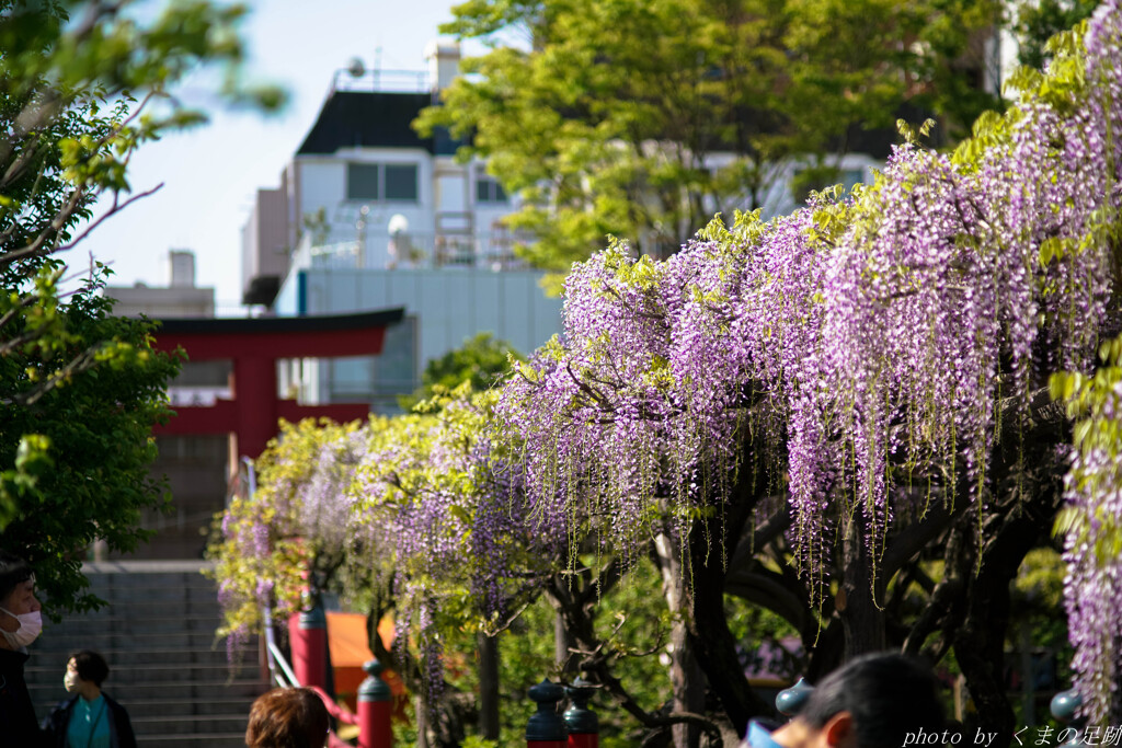 4月13日 天神通信