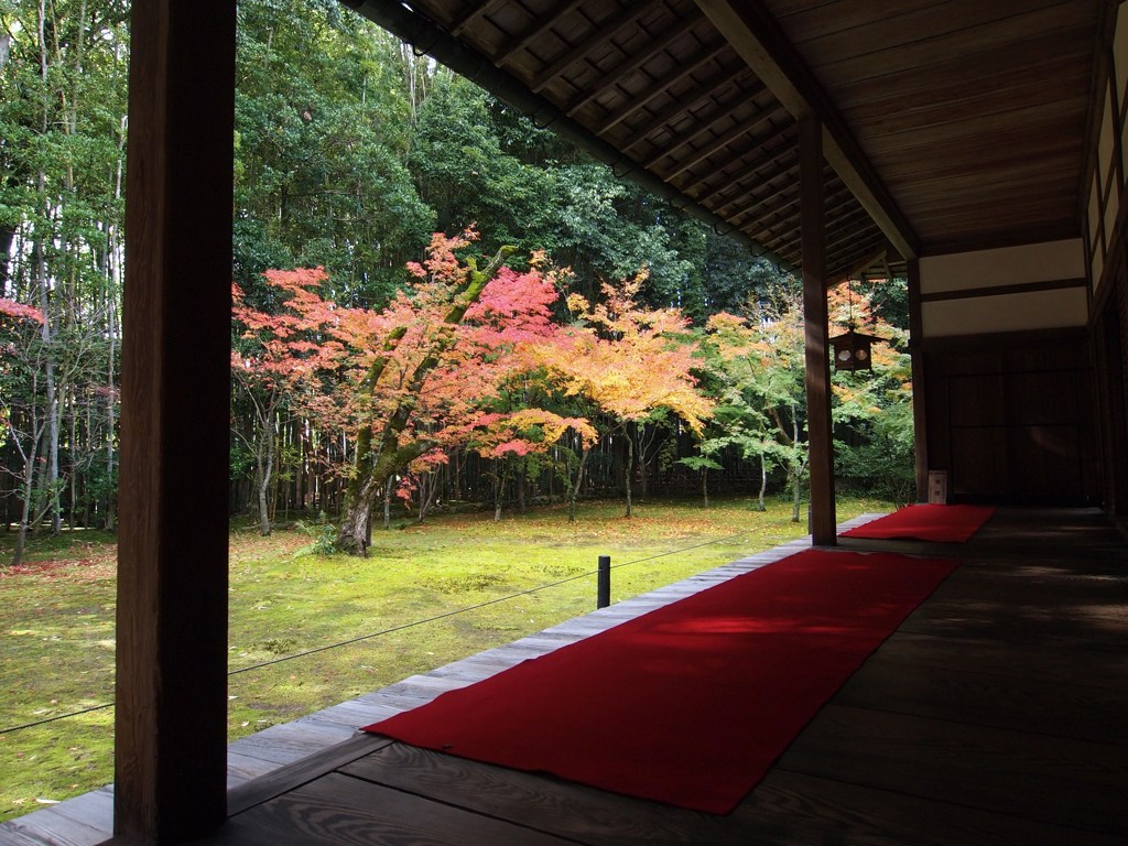 京都補完計画 其ノ佰弐拾参