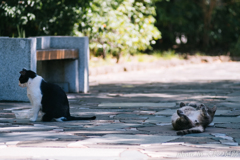 微妙な関係 微妙な関係