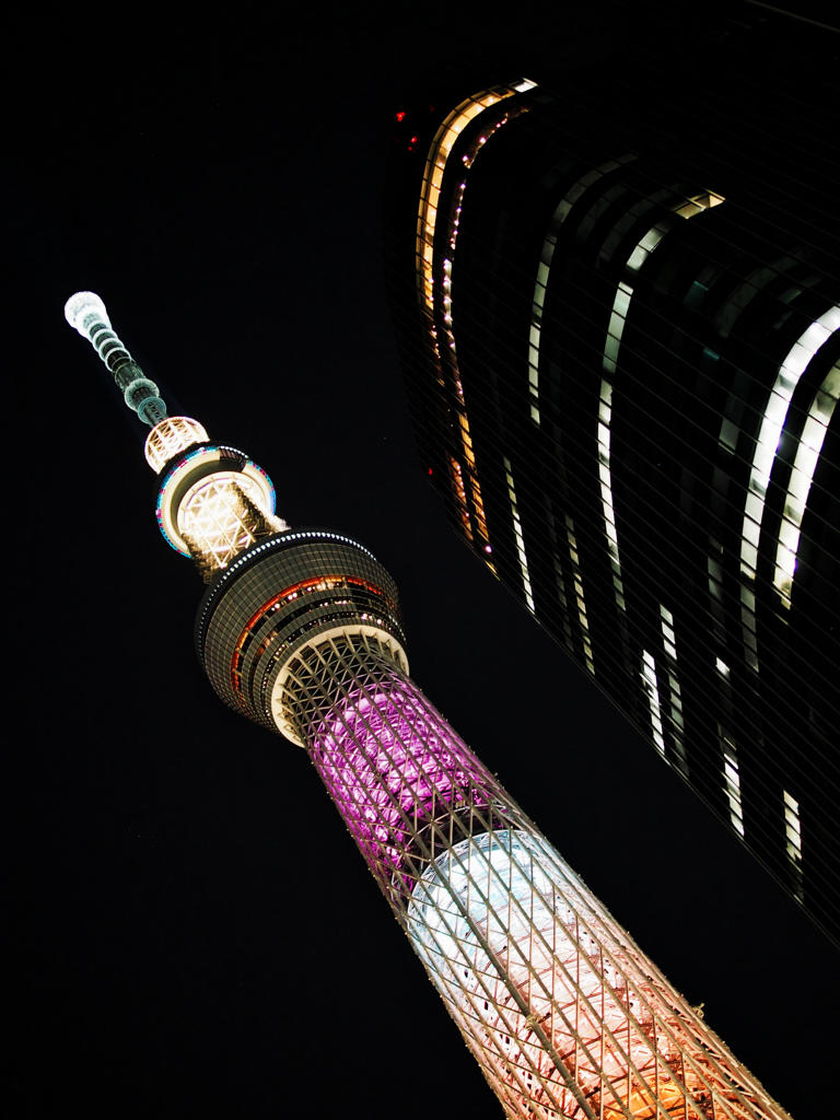 25mmのツリー