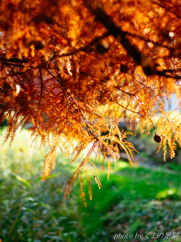 君に会いたい朝