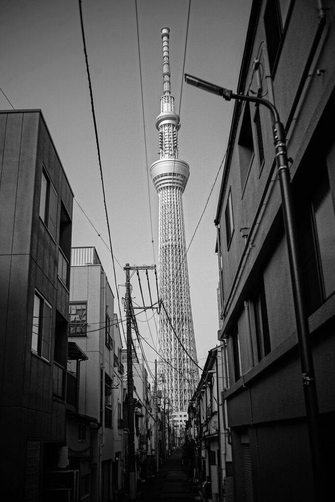 時を戻そう