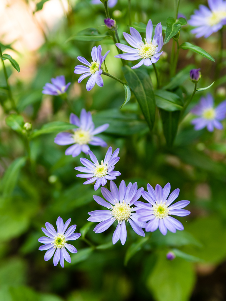 運命だとしても