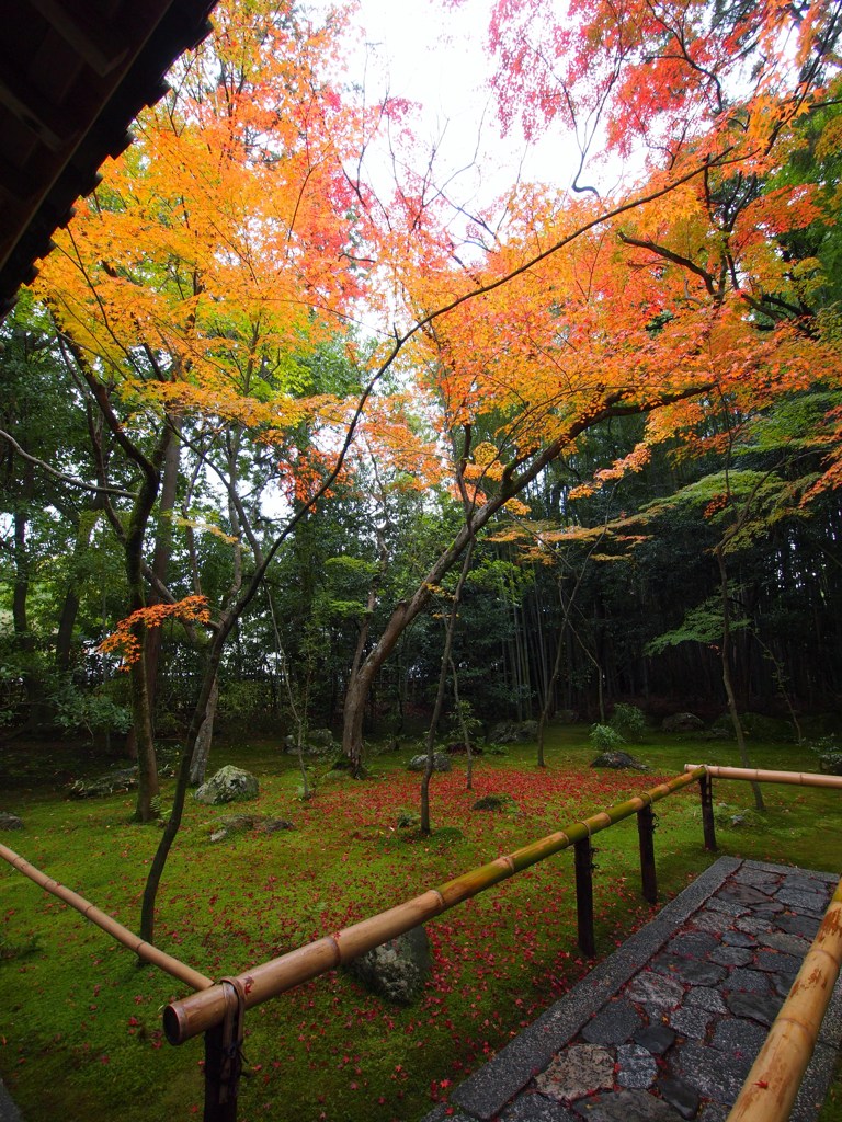 京都補完計画 其ノ佰参拾肆